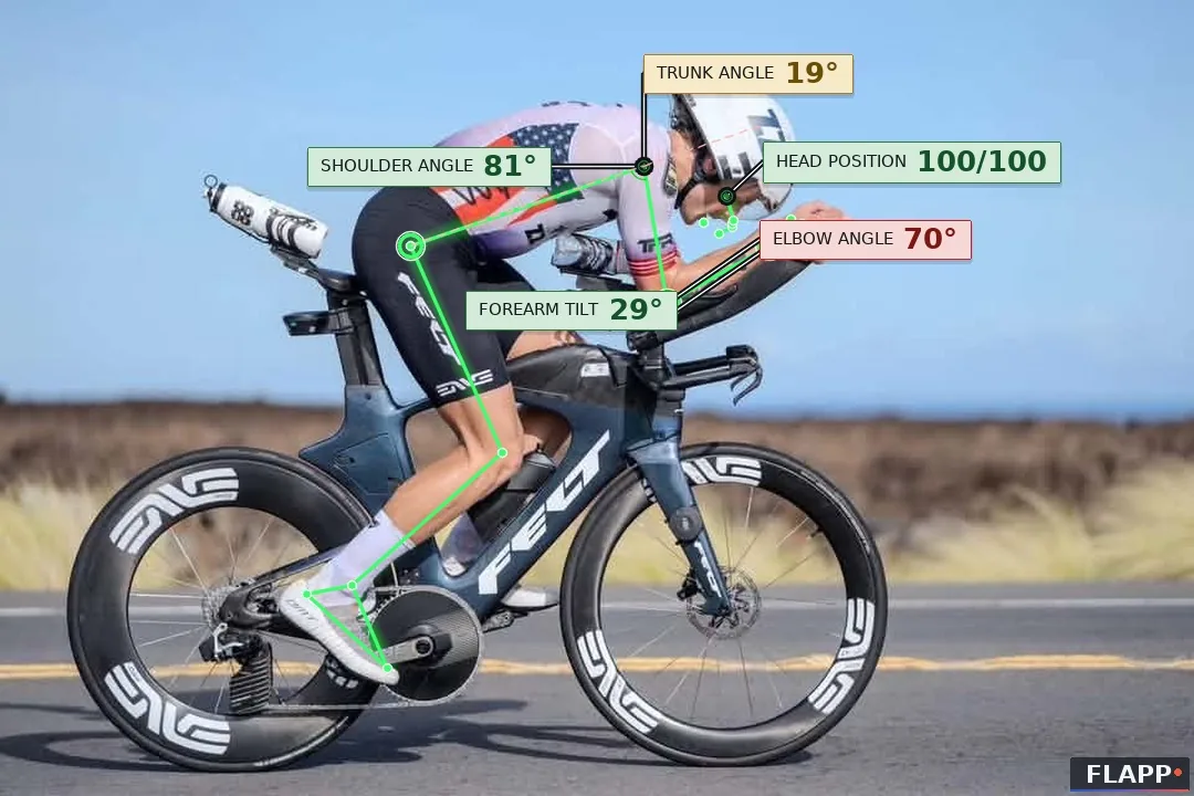 Position 14 of 14: forearm tilt 31°, torso 15°, shoulder 88°, elbow 71°.