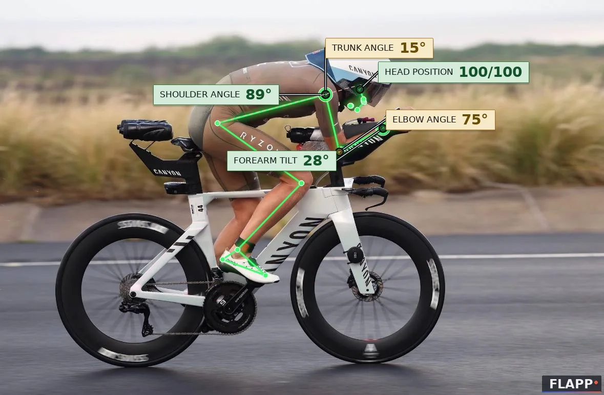 Rider B, the new one: forearms at 31°, elbow closed to 71°, torso at 15°.